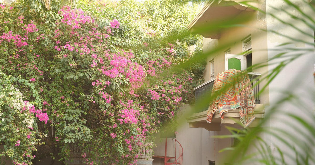 A handwoven Maimana kilim draped over a balcony rail, bougainvillea in bloom, warm daylight.