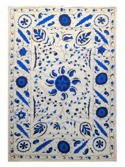 ABR19096