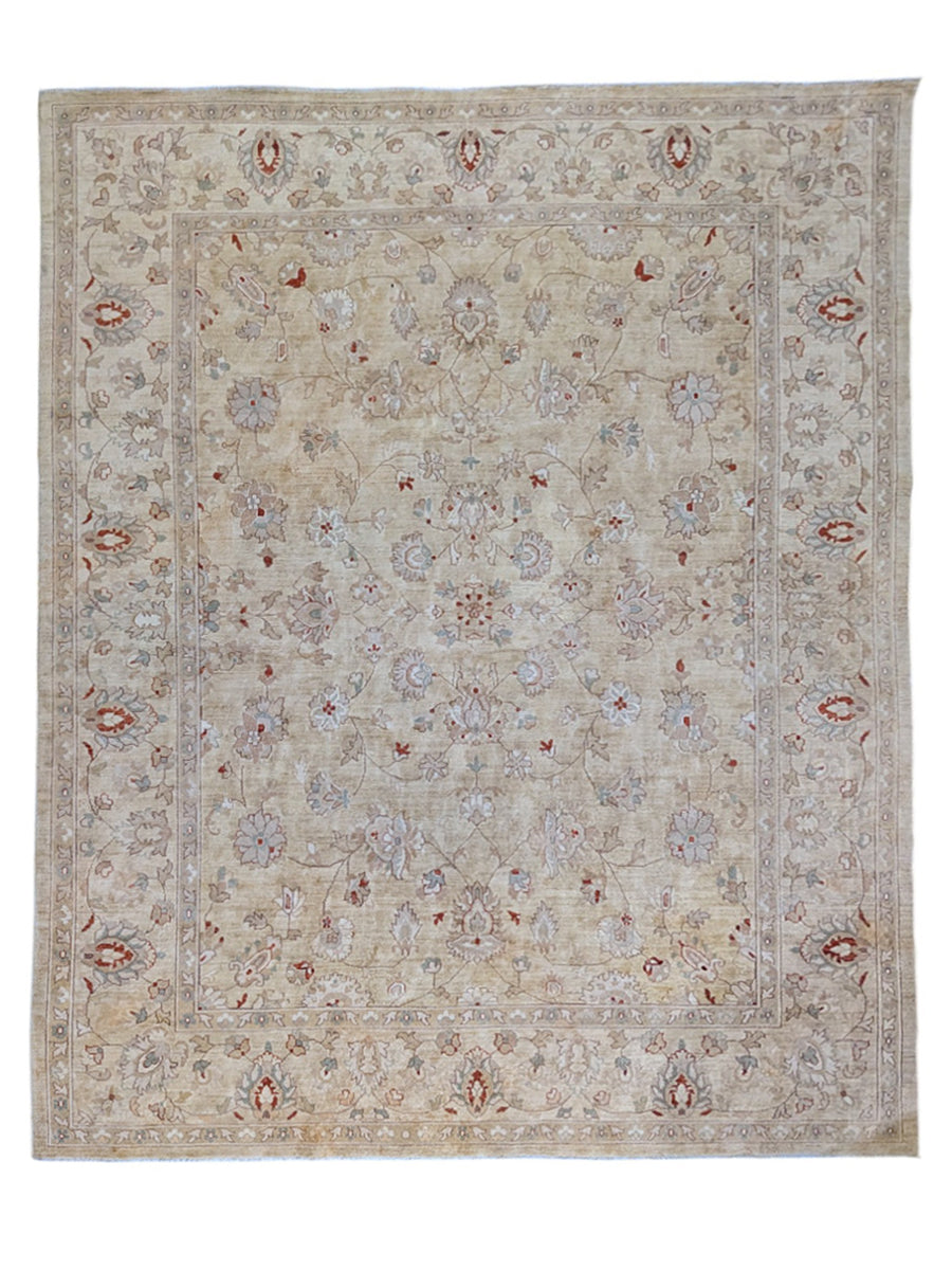 Sultani Hand Knotted Ziegler Chobi Rug - Size: 366 × 246 cm