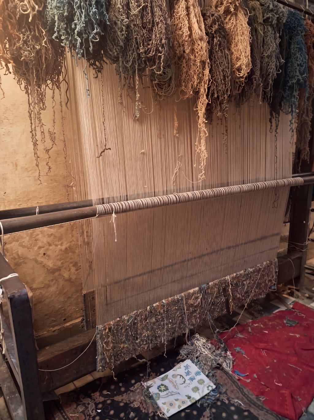 Imaco Rugs